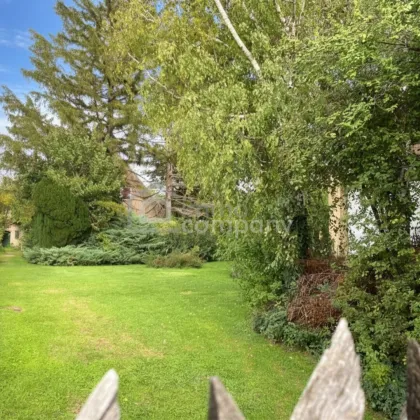 Secret Garden auf 2.000m² - Bild 3