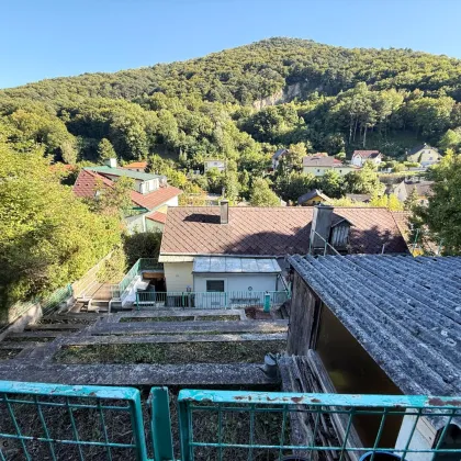 Erschaffen Sie Ihre Wohlfüloase! Grundstück mit Altbau in Kaltenleutgeben - idealer Familienwohnsitz - Bild 2