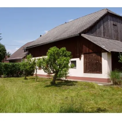 Altes Bauernhaus mit 9.782m² Grund und traumhafter Aussicht - Klagenfurt Land - Bild 2