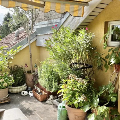 ALTBAUFLAIR TRIFFT EXKLUSIVITÄT IM ZENTRUM VON GRAZ - Bild 3