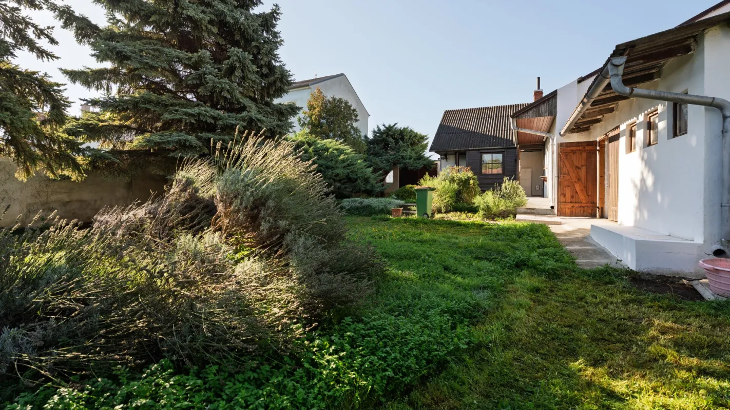 Modernisiertes Einfamilienhaus in 2301 Wittau – Ihr neues Zuhause wartet! - Bild 1