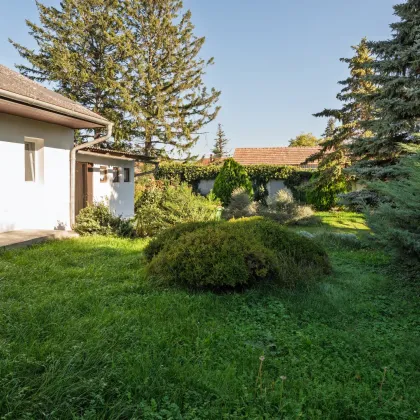 Modernisiertes Einfamilienhaus in 2301 Wittau – Ihr neues Zuhause wartet! - Bild 2