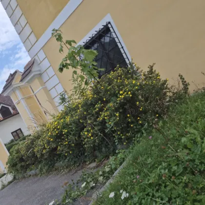 Sehr gute Rendite bei Vollvermietung! Zinshaus mit 27 Einheiten in guter Lage - Bild 3