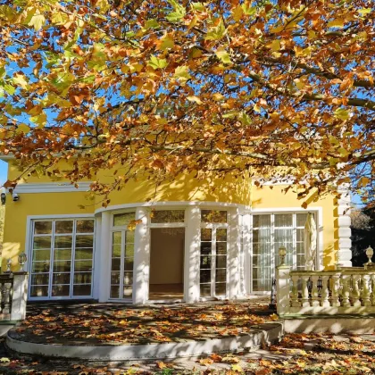 Starkes Statement 857m2 Nutzfläche – Architektenhaus mit Garage Büro Terrassen bei Krems - Bild 2