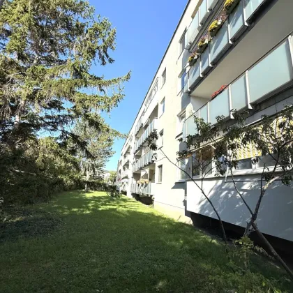 Helle Dachgeschoßwohnung in Mödling mit schönem Grünblick auf den Anninger - Bild 2