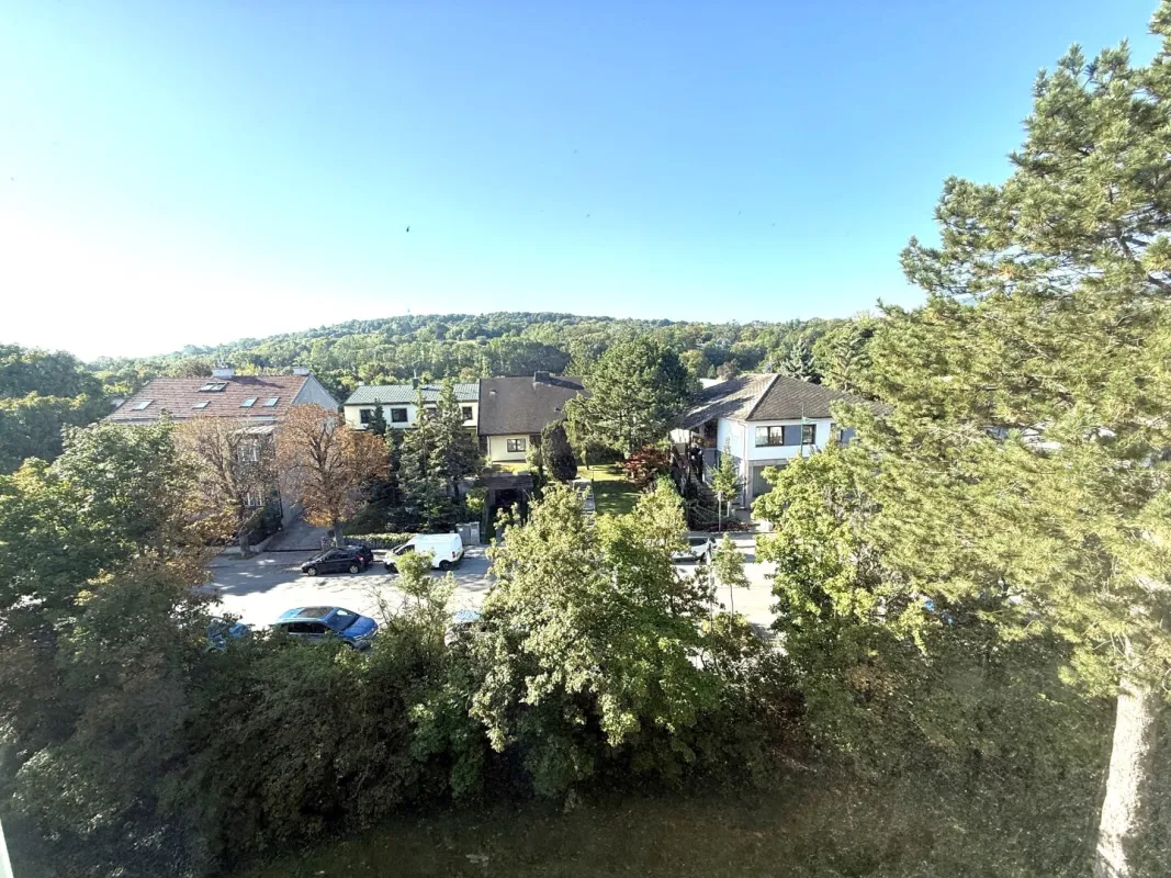 Helle Dachgeschoßwohnung in Mödling mit schönem Grünblick auf den Anninger - Bild 1