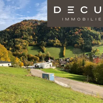 | BERGBLICK | PROVISIONSFREI | SÜDOSTEN | RÜCKZUGSORT | SONNIGES BAUGRUNDSTÜCK - Bild 2