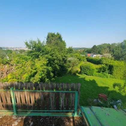 Traumruhelage - Kleingarten am Meisenbühel - Wienblick! - Bild 2