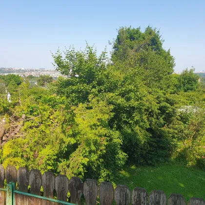Traumruhelage - Kleingarten am Meisenbühel - Wienblick! - Bild 3