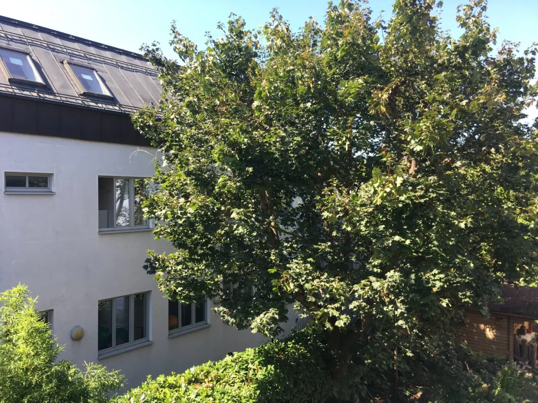 Moderne 3 Zimmerwohnung nähe Schloss Hetzendorf ruhe Lage Terrasse +Stellplatz - Bild 1