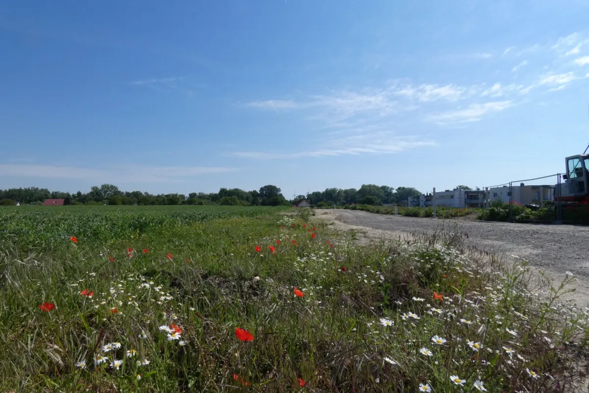 NATURNAH NEUE SIEDLUNG NÄHE WIEN BRATISLAVA - Bild 1