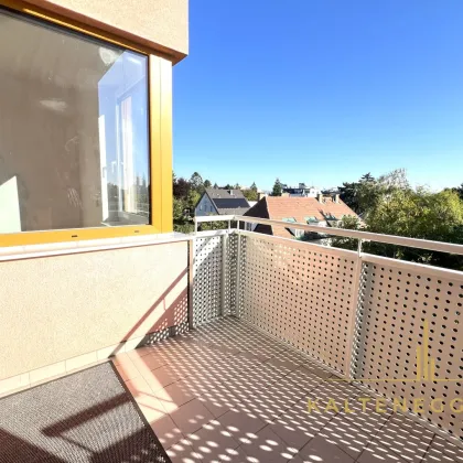 Klosterneuburg 1-Zimmer-Wohnung mit Loggia und Garagenplatz - Bild 2