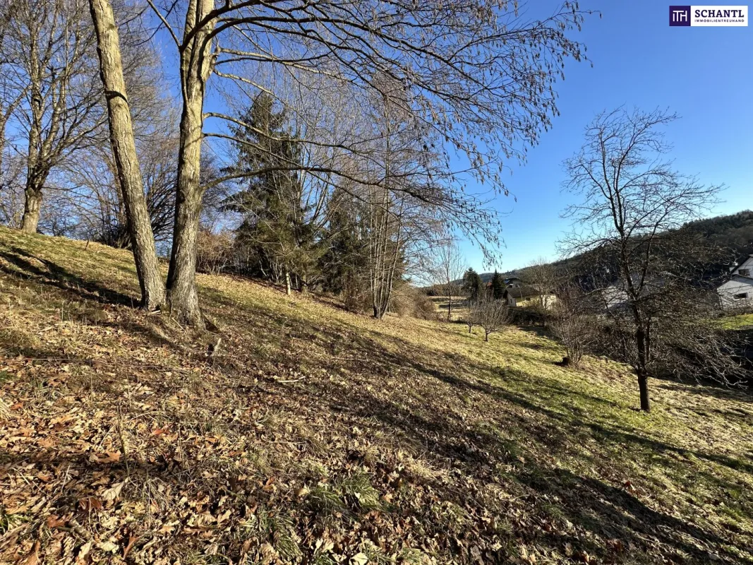 PREISREDUKTION! Attraktiver Baugrund inkl. Bewilligung für Wohnbauprojekt mit 4 Doppelhaushälften! Jetzt Anfragen! - Bild 1