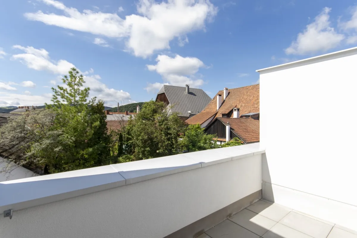 Sonnige Dachterrassenwohnung in Wilhelmsburg - Bild 1