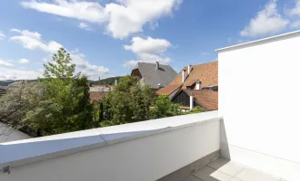 Sonnige Dachterrassenwohnung in Wilhelmsburg