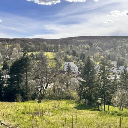 Traumhaftes Hanggrundstück in Kierling, Klosterneuburg – sonnig & ruhig gelegen - Bild 2