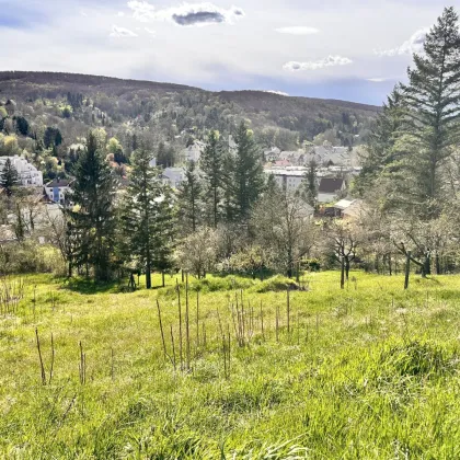 Traumhaftes Hanggrundstück in Kierling, Klosterneuburg – sonnig & ruhig gelegen - Bild 3
