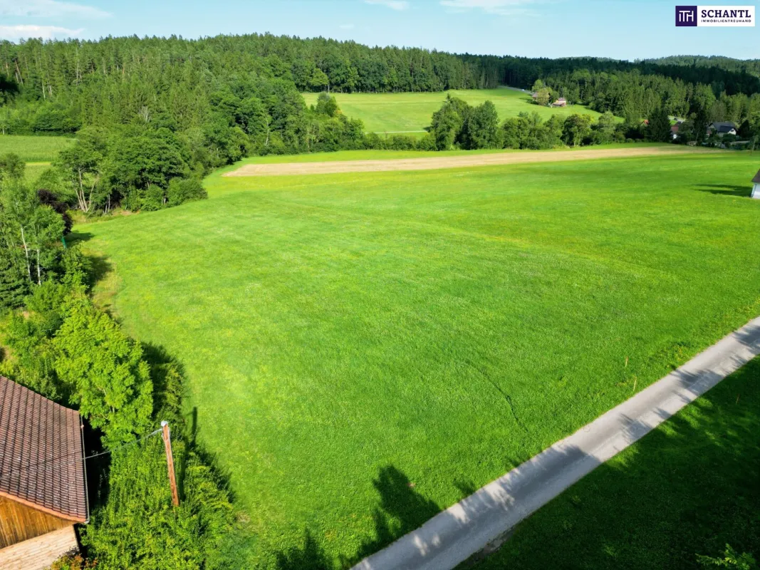 IDYLLE PUR! PERFEKTER BAUGRUND IN WEINITZEN! Leben im idyllischen Umland nur 5 Minuten von Graz entfernt! Geheimtipp für das perfekte Eigenheim! - Bild 1