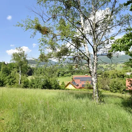 TOLLE GELEGENHEIT! TRAUMHAFTER BAUGRUND Graz-St. Veit in absoluter Ruhelage! In einer Sackgasse gelegen und von der grünen Natur umgeben - SENSATIONELLER AUSBLICK! Jetzt anfragen und Details anfordern! - Bild 3