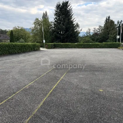 Baugrundstück in Seewalchen/Litzlberg am Attersee – Bauträger aufgepasst. Ihr Zuhause am See wartet! - Bild 3
