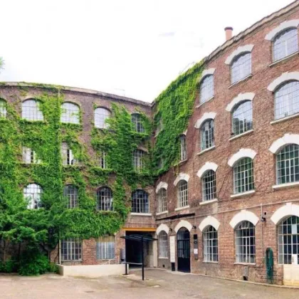 Loft zur gewerblichen Nutzung im 6. Bezirk - viel Raum für Kreativität und Ruhe ( Top 4 ) - Bild 3