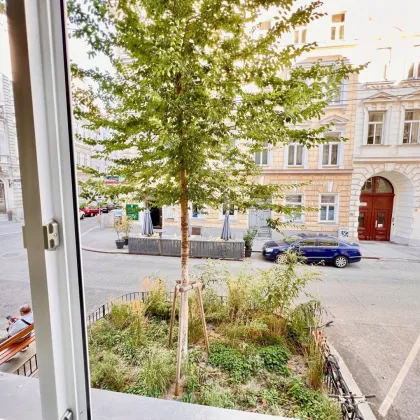 Top Wohngegend! Gut aufgeteilte 2-Zimmer-Stadtwohung, 60m2! U1 Nähe! - Bild 3