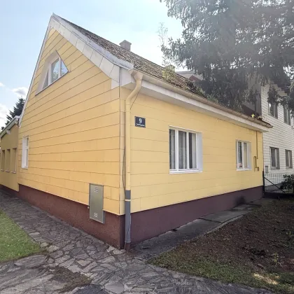 Tolles ebenes Grundstück in Ruhelage bei Napoleonwald - Bild 2