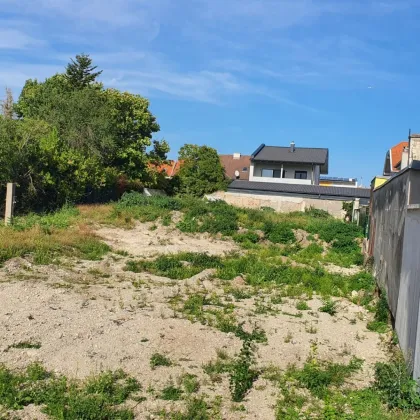 Baugrundstück in Wiener Neustadt – mit Zufahrtsrecht und idealer Größe - Bild 3