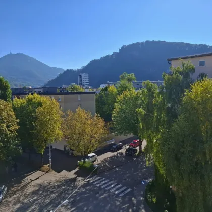 Anlage: Gepflegte 3 Zimmerwohnung in ruhiger Stadtlage - beste Infrastruktur - Bild 2