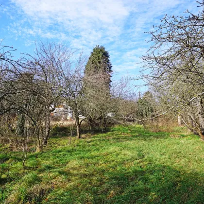 Grundstück mit Panoramablick an der Wiener Stadtgrenze - Bild 2