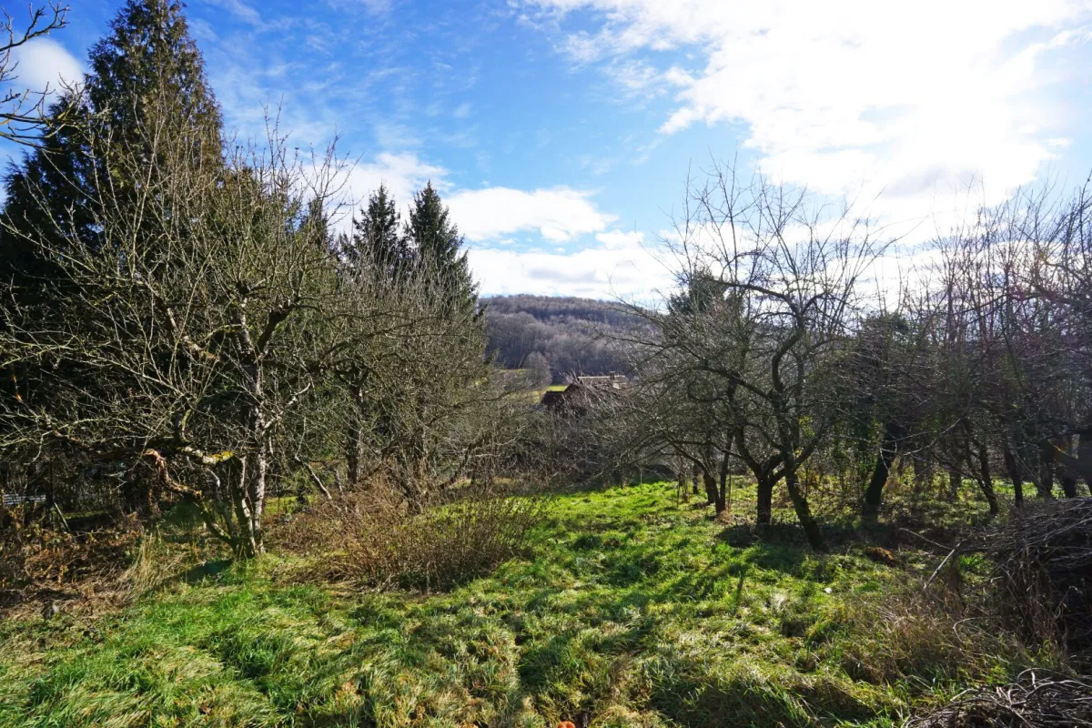 Grundstück mit Panoramablick an der Wiener Stadtgrenze - Bild 1