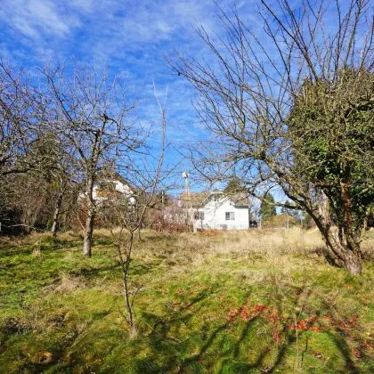Grundstück mit Panoramablick an der Wiener Stadtgrenze - Bild 2