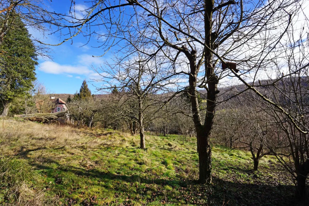 Grundstück mit Panoramablick an der Wiener Stadtgrenze - Bild 1