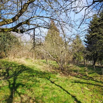 Grundstück mit Panoramablick an der Wiener Stadtgrenze - Bild 3