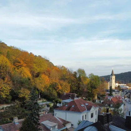baugenehmigtes Wohnbauprojekt für 5 Familienhäuser in außergewöhnlicher Villen-Waldrandlage! Rundum - Natur pur! - Bild 3