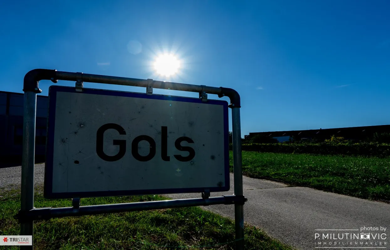 Sonnenseite Österreichs++Willkommen in  7122 Gols – dem Ort, wo der Wein zuhause ist und das Leben nach Sonne schmeckt++Grundstücksfläche: ca. 889 m²++Tradition, Lebensfreude und Naturverbundenheit - Bild 1