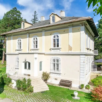 Schlossartige Villa auf über 6.600 m² teilbarem Bauland in einzigartiger Lage Pressbaums - Bild 3