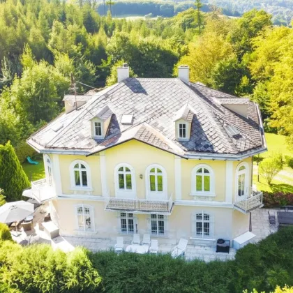 Schlossartige Villa auf über 6.600 m² teilbarem Bauland in einzigartiger Lage Pressbaums - Bild 2
