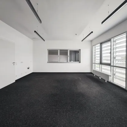 Produktionshalle mit ca. 800m² inkl. modernem Büro || Parkplätze || 3 Sektionaltore - Bild 3