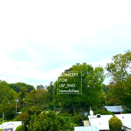 Haus & Garten 712m2 | nahe Naturpark & Grünoase Liesing | 2-3 Wohneinheiten | 2 Nebengebäude | Garage | ideal für Immobilienprojekt - Bild 3