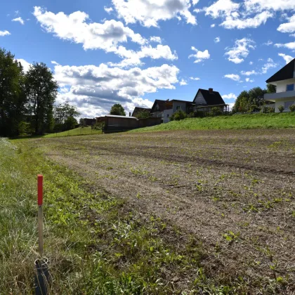 Ihr Traumhaus wird Realität: Idyllisches Baugrundstück in Bad Gams mit sonniger Südausrichtung, allen Anschlüssen und ruhiger, naturnaher Wohnlage - Bild 2