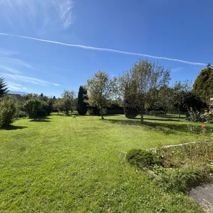 Grundstück mit Altbestand in Maxglan - Bild 3
