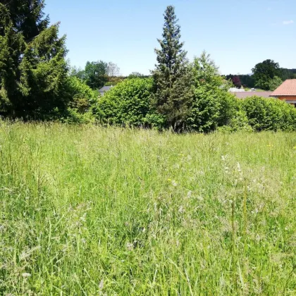 Toller Baugrund 5 km vom Attersee - Bild 3