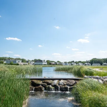 Großes Grundstück für Apartmenthäuser - 15 Minuten südlich von Wien! - Bild 2