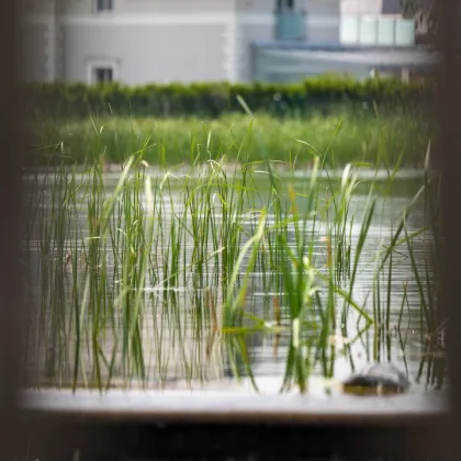 Großes Grundstück für Apartmenthäuser - 15 Minuten südlich von Wien! - Bild 3