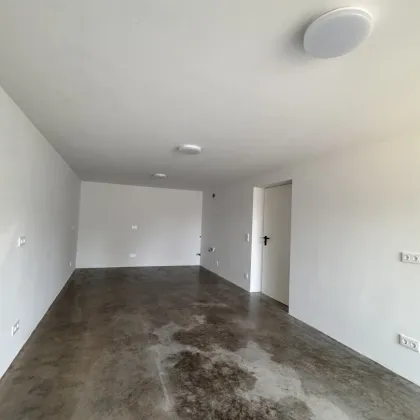 Komfortables Büro mit angeschlossener Halle/Lagerfläche, Erstbezug, PV-Anlage! - Bild 3