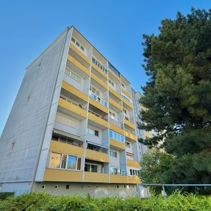 Modern renovierte 3-Zimmer-Wohnung mit Loggia in Wels / Nähe Krankenhaus - Bild 2