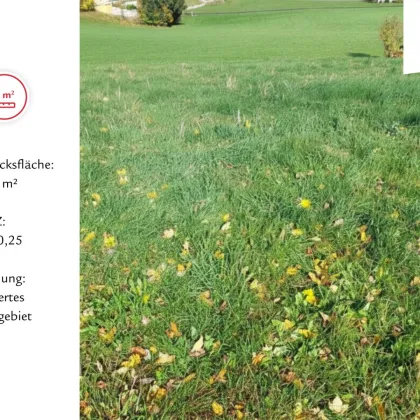 Traumgrundstück mit Seltenheitswert zwischen Fuschlsee und Mozartstadt - Bild 2