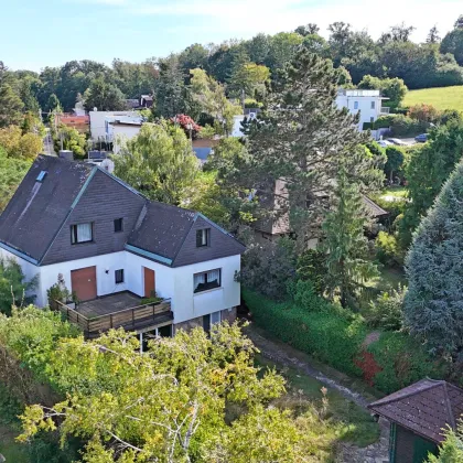 Ober St. Veit beim Hörndlwald - Renovierungsjuwel oder Neubauchance in begehrter ruhiger Wohnlage - Bild 3