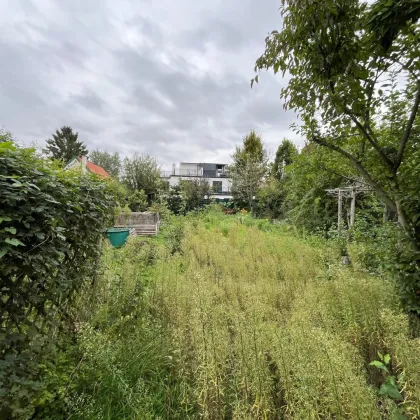 Grundstück für Eigenheim oder auch für Bauträger bei der Lobau . 1220 Wien, Nähe Ultzmanngasse beim Großenzersdorfer Arm - Bild 2